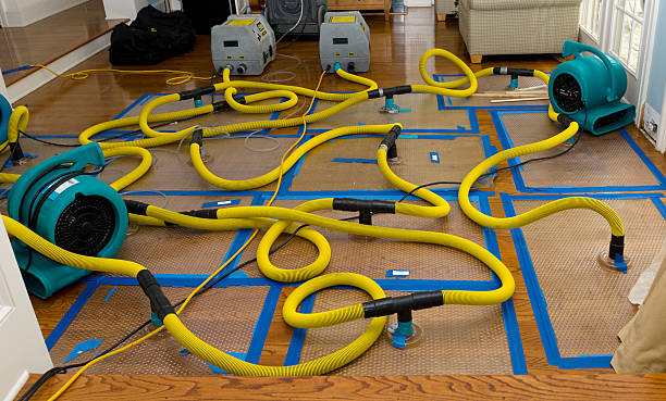Professional Burst Pipe Water Damage technician working in Marina del Rey, CA